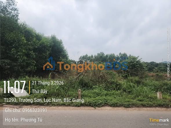 Đất nền Bình Sơn Lục Nam 125m² 9xx triệu - Sổ đỏ chính chủ