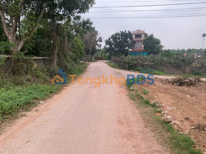 Đất nền Quang Thịnh Lạng Giang 500m² 8xx triệu - Sổ đỏ