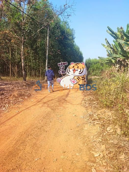 Đất Vĩnh Cửu 4000m² - Sổ Đỏ Sẵn Sàng, Giá 1.59 Tỷ Bán Gấp