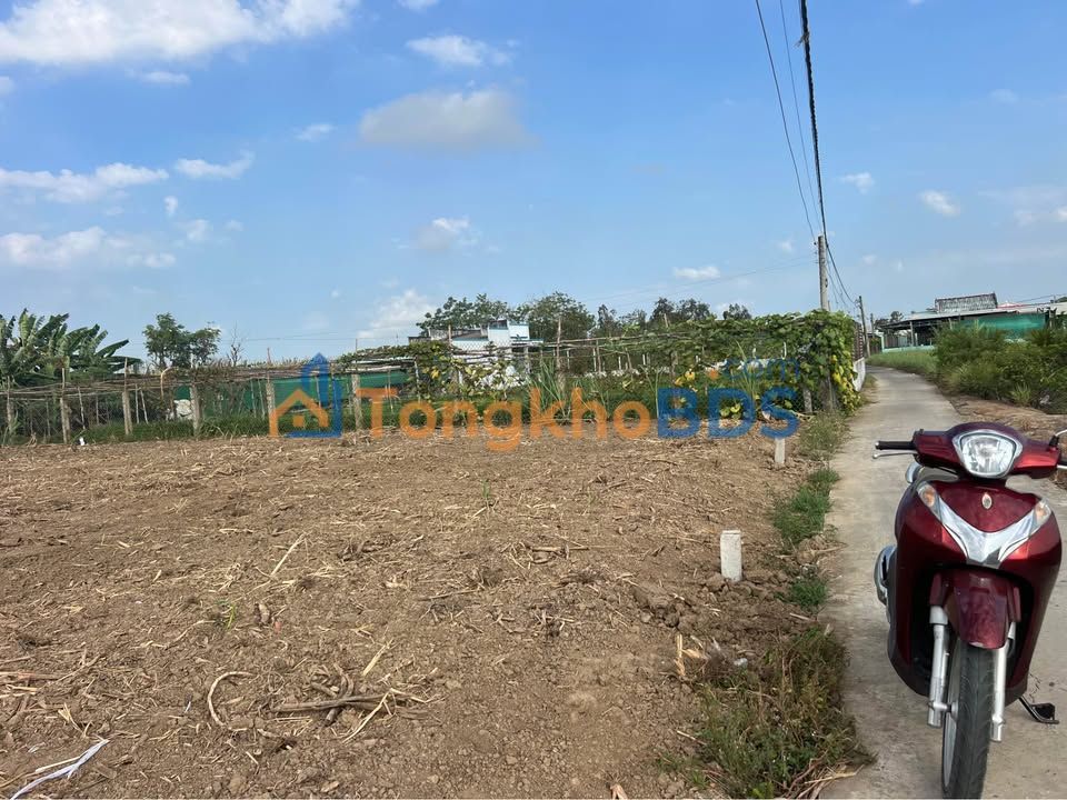 Đất nền Bình Nghị Gò Công Đông 179m² 290tr - Đất thổ cư 100%