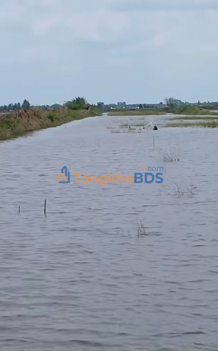 Đất nông nghiệp Đông Hưng B 22 công - Sổ đỏ chính chủ