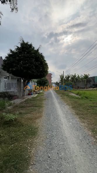 Đất nền KCN Tân Hương 100m² 600 triệu - Đường ô tô xây trọ