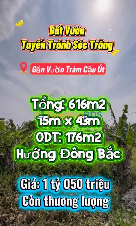 Đất vườn Tuyến Tránh Sóc Trăng 616m² 850 triệu - Đầu tư dài hạn