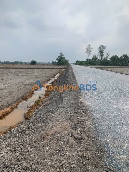 Đất nền TL 938 Lâm Tân 1.225m² 675 triệu - Sổ đỏ chính chủ