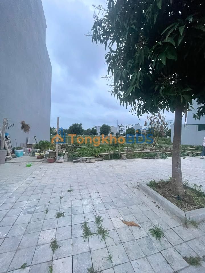 Đất nền Phường Đông Hải Thanh Hóa 57m² 3 tỷ - Đường to ô tô