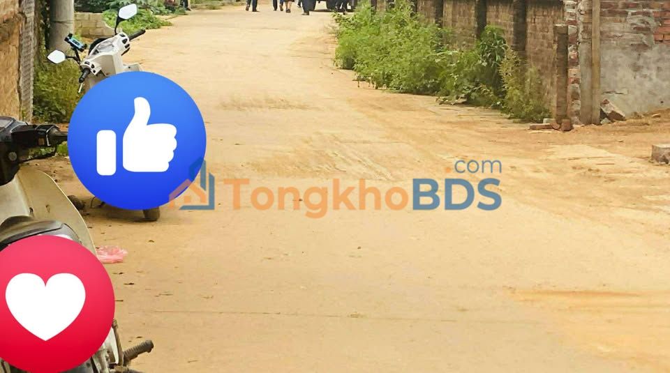 Đất nền Thạch Hòa 1.200m² ô tô tránh - Hạ tầng hoàn thiện