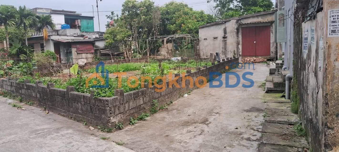 Đất nền Quỳnh Thọ Thái Bình 122m² - Sổ đỏ chính chủ