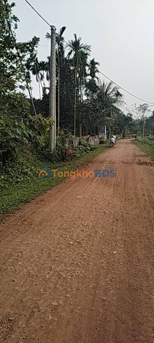 Bán đất Xã Giang Sơn Tây, Đô Lương 1000m² - Sổ đỏ thổ cư, nở hậu