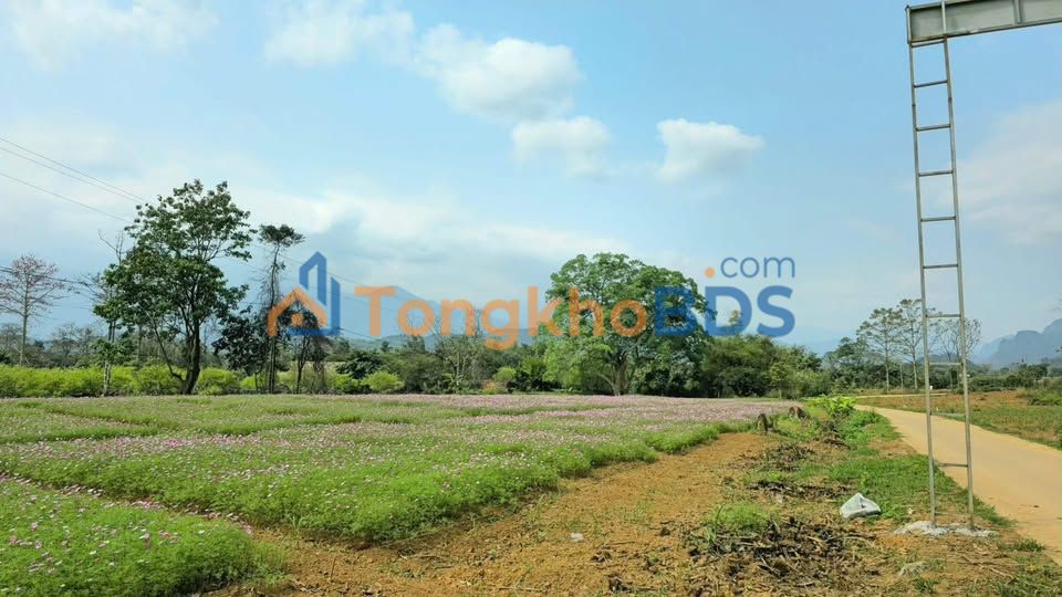 Đất Nền 350m² Mặt Tiền Đường To - 220 Triệu Sổ Đỏ Tại Phong Quang, Hà Giang