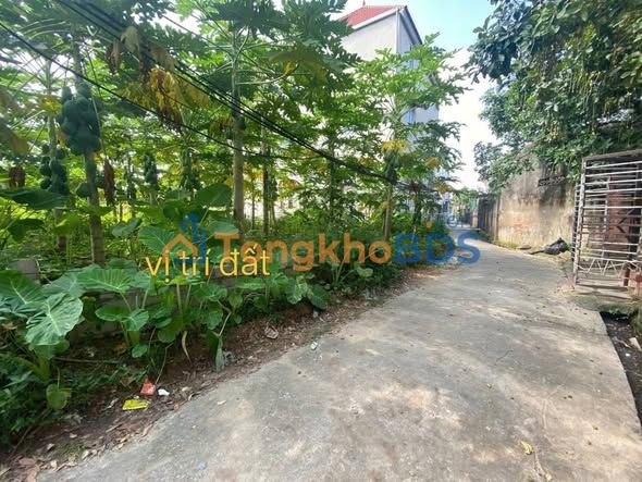 Đất Quảng Bị Chương Mỹ 58m² giá thỏa thuận - Sổ đỏ chính chủ