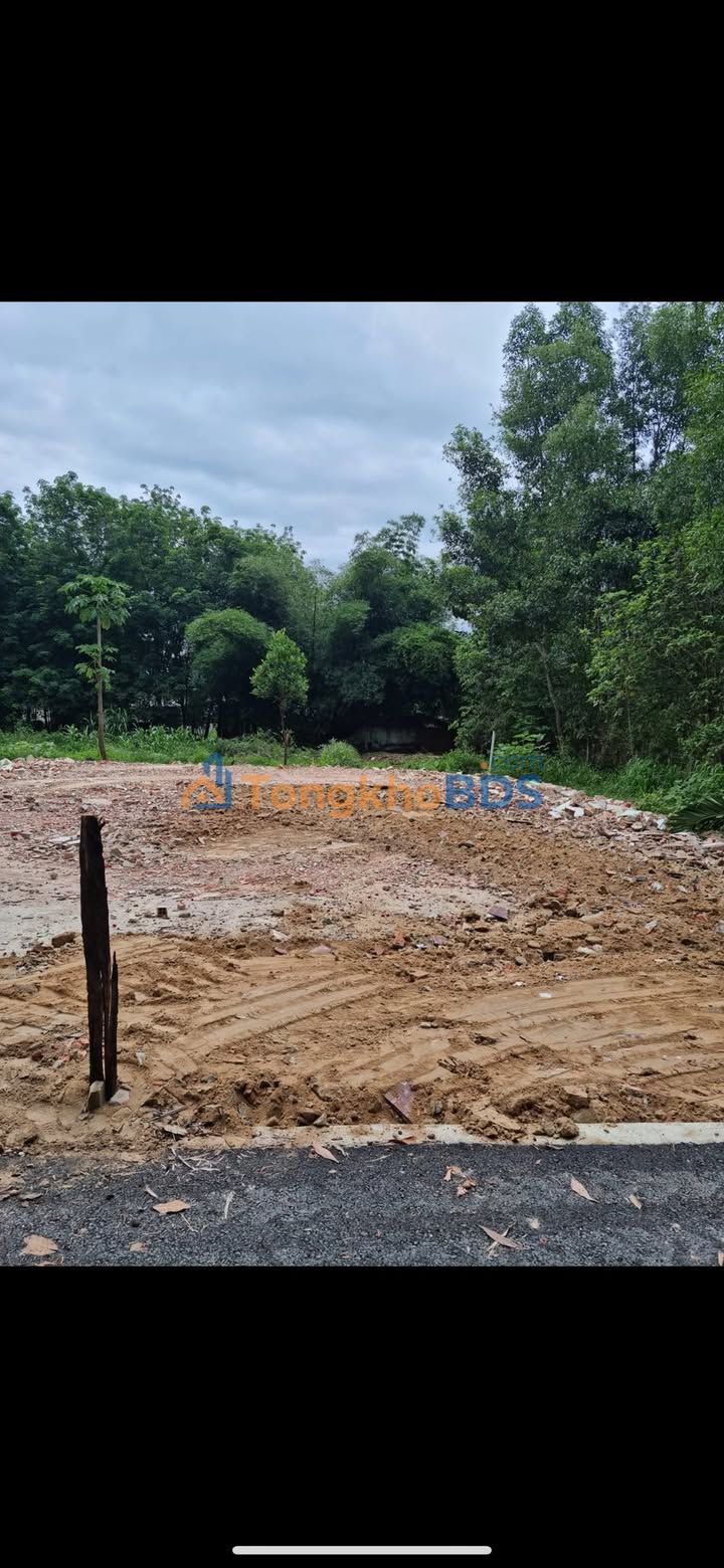 Đất Bàu Bàng 561m² 2 tỷ - Sổ đỏ & hạ tầng hoàn thiện