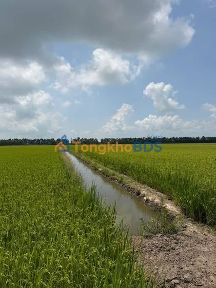 Đất nền Bình Hòa Hưng 200.000m² 115 tỷ - Sổ đỏ chính chủ