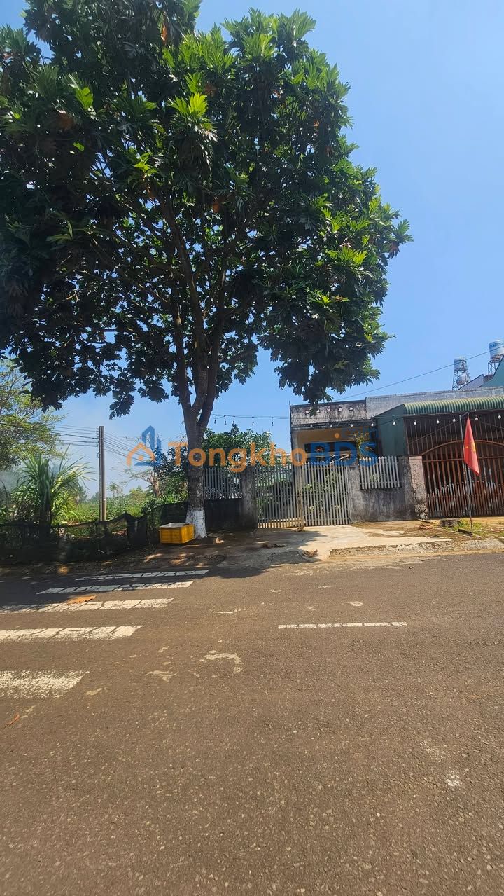 Nhà riêng Phường 1 Bảo Lộc 165m²/3,8 tỷ - Giá tốt hiếm có