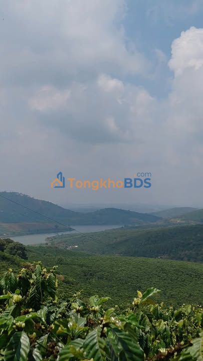 Đất nền Lộc Ngãi Bảo Lâm 100m² 4.2 tỷ - Sổ đỏ chính chủ