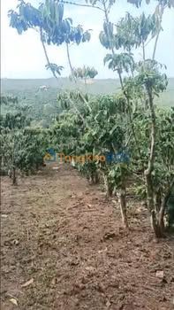 Đất nền Lộc Ngãi 13.000m² 18,06 tỷ - Sổ đỏ chính chủ