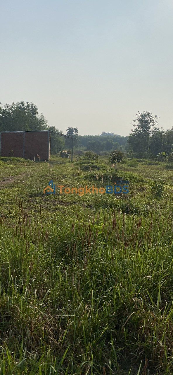 Đất nền Thanh Hòa Bù Đốp 2.700m² 1.17 tỷ - Sổ đỏ chính chủ