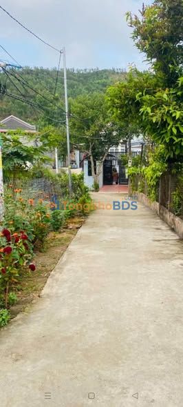 Nhà Cấp 4 Phước Hội, La Gi - 68m² Giá 4 Tỷ