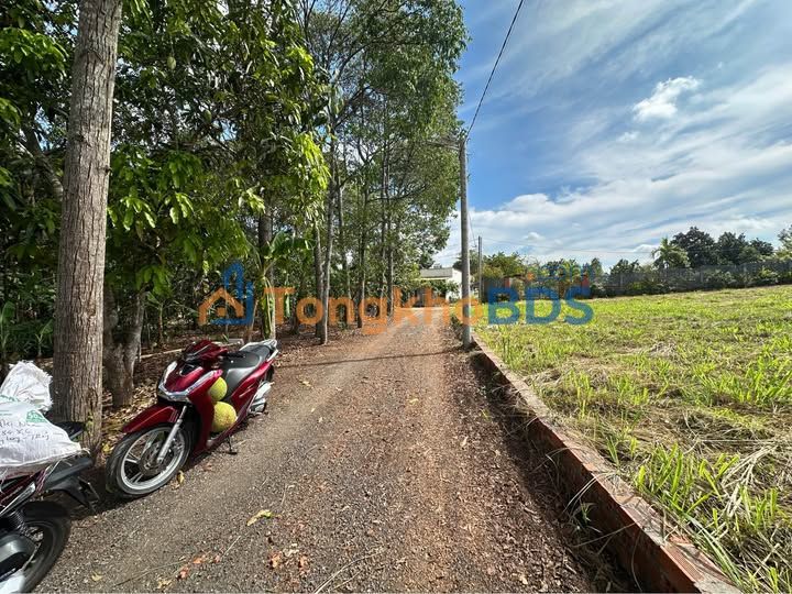 Đất Hưng Lộc, Trảng Bom 132.5m² - Giá 700 Triệu, Sổ Đỏ Riêng