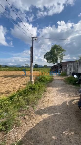 Đất nền Thôn Thọ Nghĩa 163m² - Thổ cư 100%