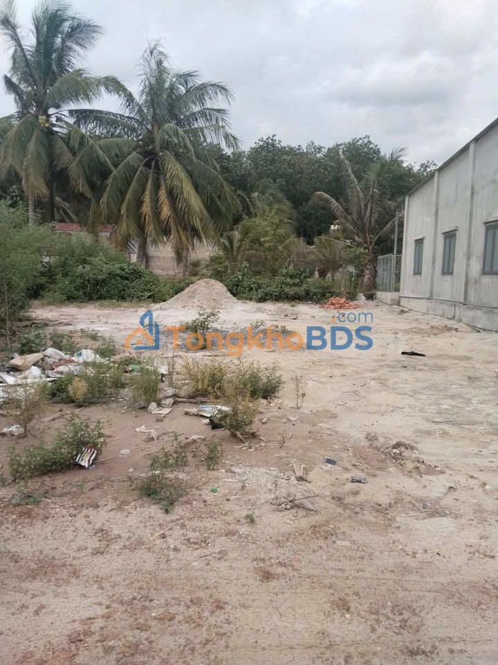 Đất nền Tân Hội Tân Châu 105m² 200 triệu - Sổ đỏ chính chủ