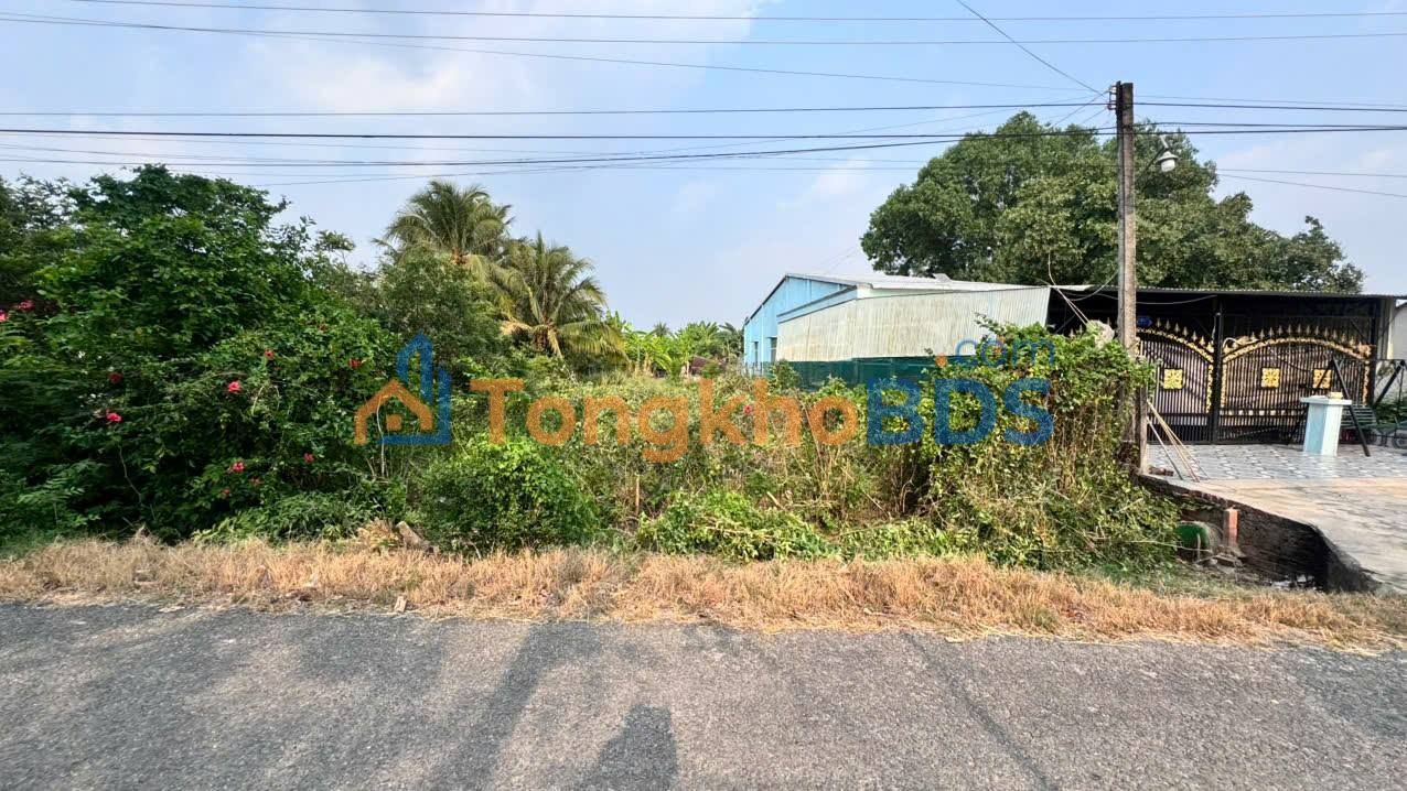 Đất nền Gò Dầu 175m² 660 triệu - Giá tốt hiếm có