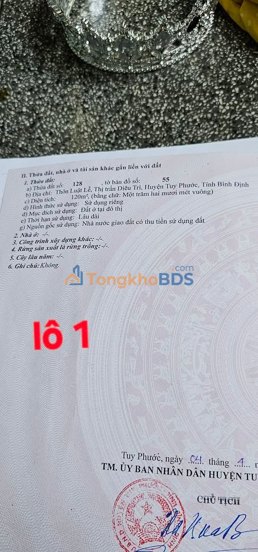 Đất nền Diêu Trì 120m² 840 triệu - Sổ đỏ chính chủ