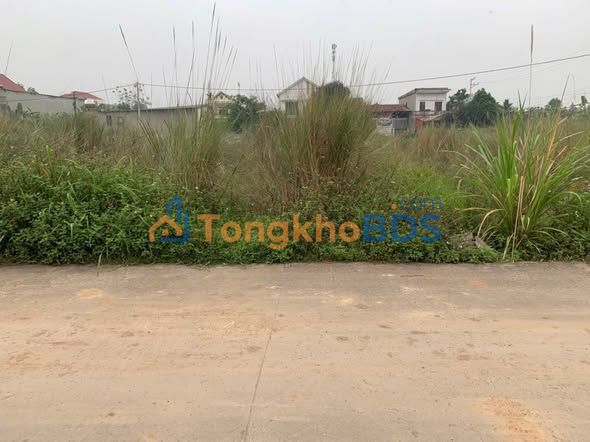 Đất nền Lâm Thao 138m² giá 1 tỷ - Sổ đỏ chính chủ