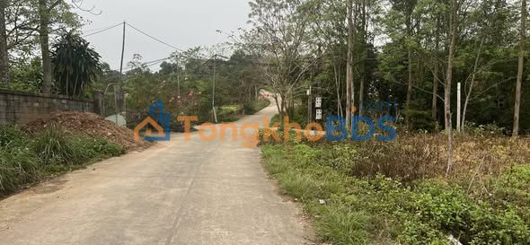 Đất Nền Tam Nông Phú Thọ 524.4m² - Gần KCN Vạn Xuân - Giá Đầu Tư 9xx Triệu