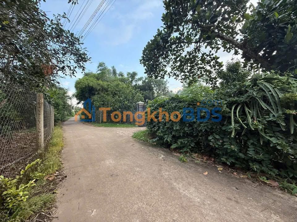 Đất nền Long Khánh 166m² 1,25 tỷ - Sổ đỏ riêng