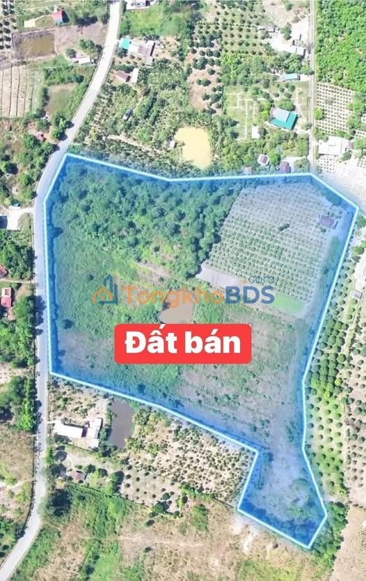 Đất Vàng Nam Cát Tiên 4ha - Sổ Đỏ Sẵn, Giá 10 Tỷ Gốc