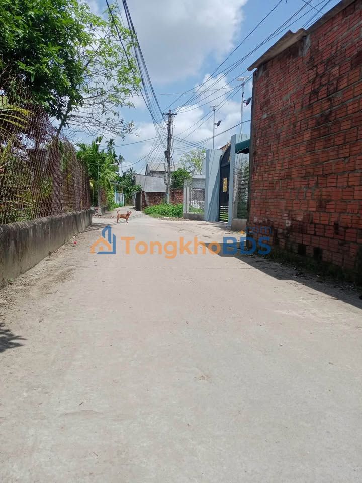 Đất nền Nghĩa Điền Quảng Ngãi 115m² 500 triệu - Giá đầu tư tốt