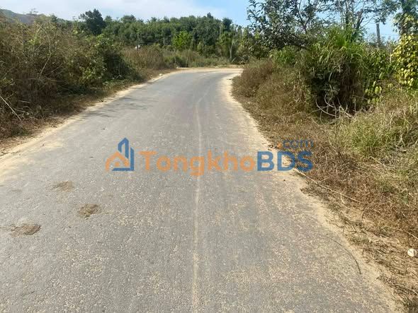 Bán Đất Vĩnh Cửu 12000m² Mặt Tiền Đường Nhựa - Tiềm Năng Phân Lô