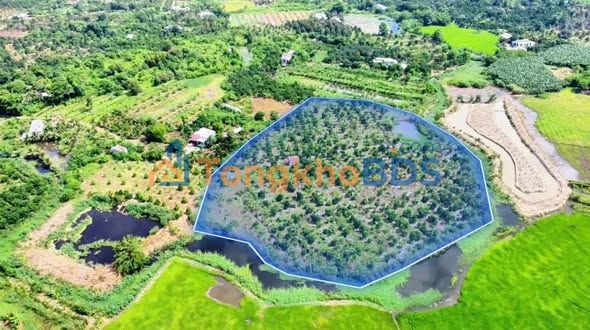 Đất vườn Phú Tân Định Quán 20.000m² 4 tỷ - Sinh thái xanh