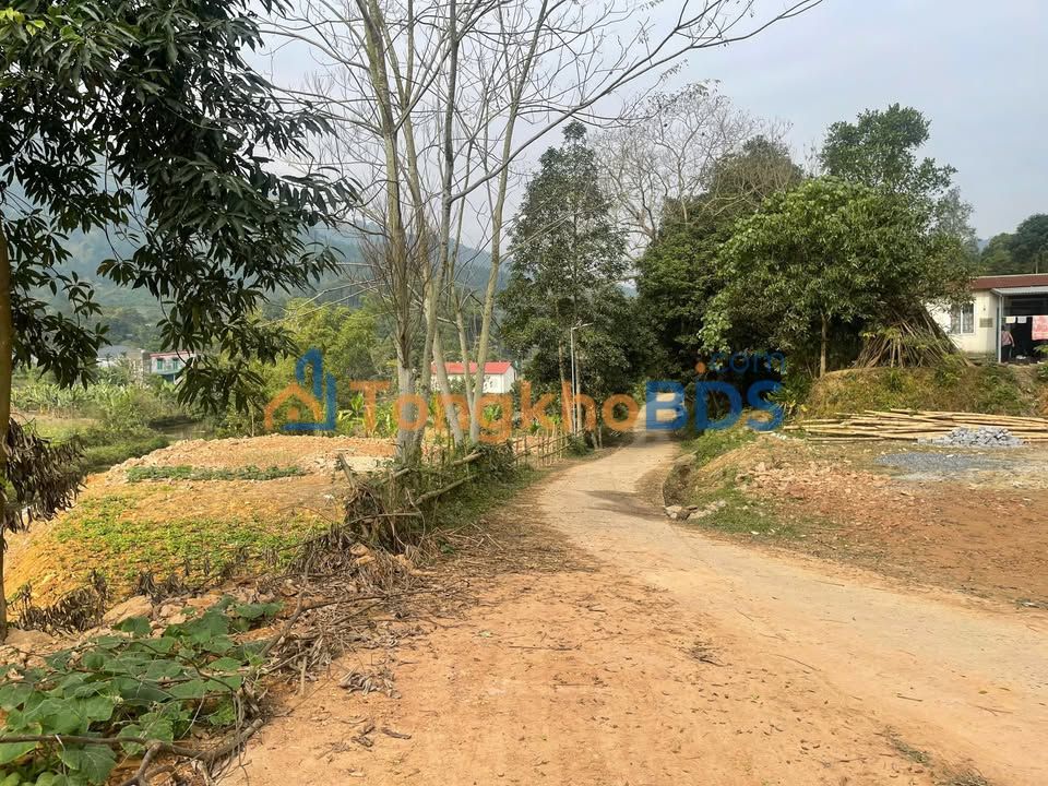 Đất vườn Cốc San Lào Cai 364m² thỏa thuận - Nghỉ dưỡng lý tưởng