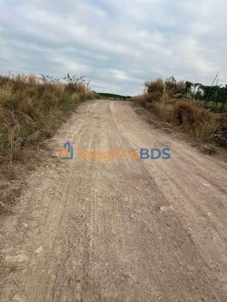 Đất nền Ea Wer 1,3 ha giá 350 triệu - Tiềm năng tăng giá