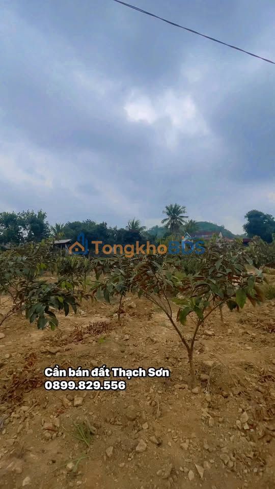 Đất nền Thạch Sơn 1.200m² - Đất thổ cư 100%