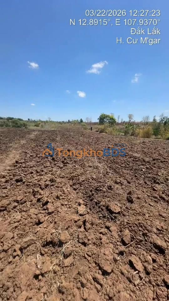 Đất vườn Ea M'nang 14.000m² 1,19 tỷ - Đầu tư dài hạn