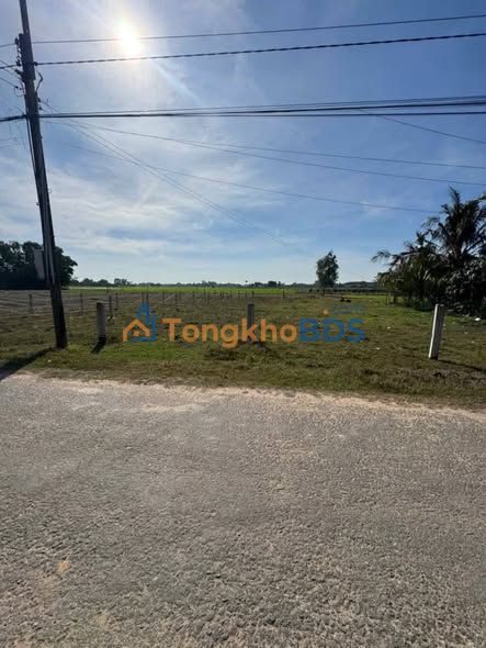 Đất Nền Thủ Thừa 180m² (5x36m) - Sổ Hồng Thổ Cư, Mặt Tiền Đường Nhựa