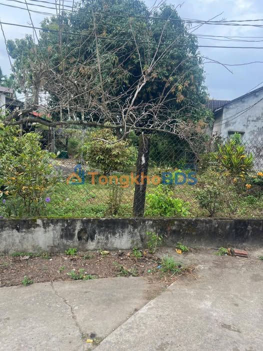 Đất nền Sơn Tịnh 180m² 600 triệu - Đường ô tô rộng