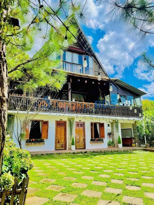 Homestay Ngô Tất Tố Phường 8 Đà Lạt 1.700m² - Sẵn sàng hoạt động