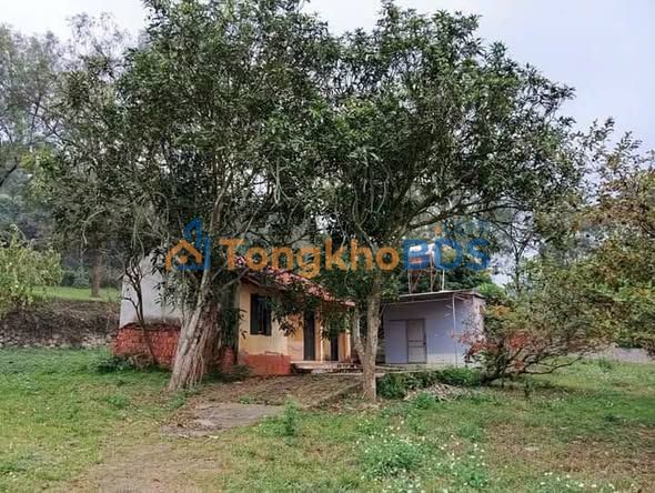 Đất nền Ngọc Thanh Phúc Yên 2400m² - Sổ đỏ chính chủ