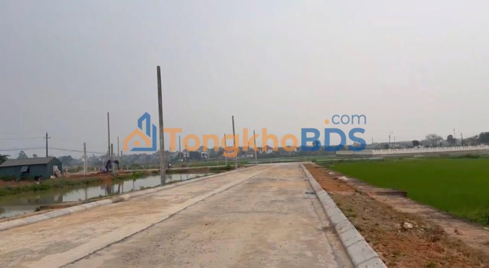 Đất Hoàng Đan Tam Dương 150m2 giá thỏa thuận - Sổ đỏ chính chủ