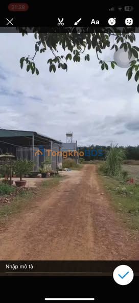 Nhà cấp 4 Tân Hiệp Tân Châu 135m² - Chính chủ bán