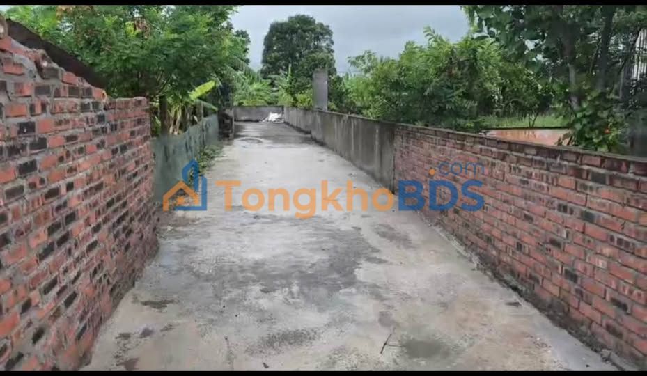 Đất nền Thái Thọ Thái Thụy 113m² 400-499 triệu - Sổ đỏ chính chủ