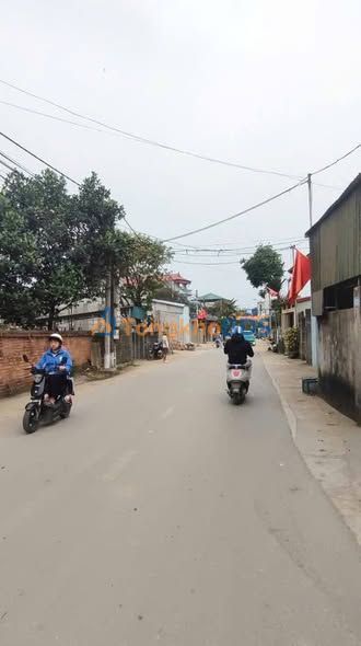 Bán Gấp Đất Quốc Oai 202m² Sổ Đỏ Sẵn - Giá Đầu Tư 3x Triệu/m²