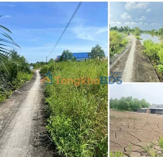 Đất Sổ Hồng Riêng Xã Sông Đốc, Cà Mau - 300m² Giá 280 Triệu