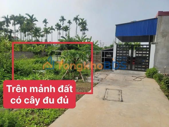 Đất nền Thủy Nguyên 60m², 900 triệu - Sổ đỏ chính chủ