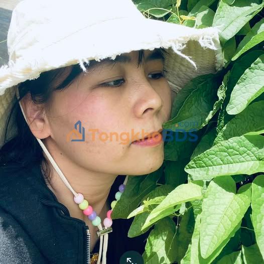 Đất nền Bình Hòa 9000m² gần Võ Văn Kiệt - Đường to ô tô