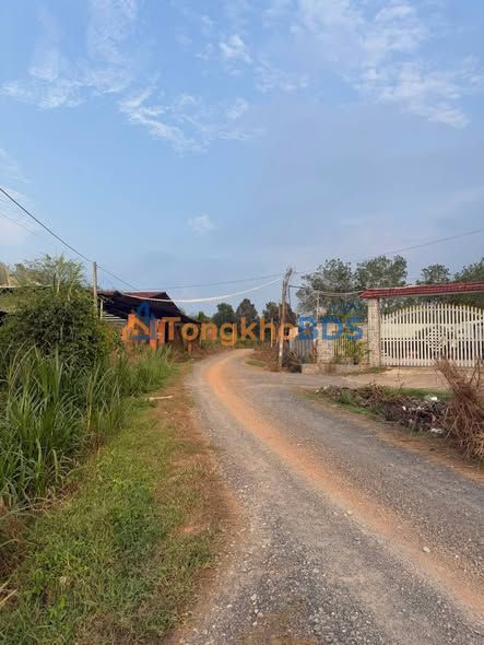 Đất nền Trảng Bàng 536m² 980 triệu - Pháp lý rõ ràng