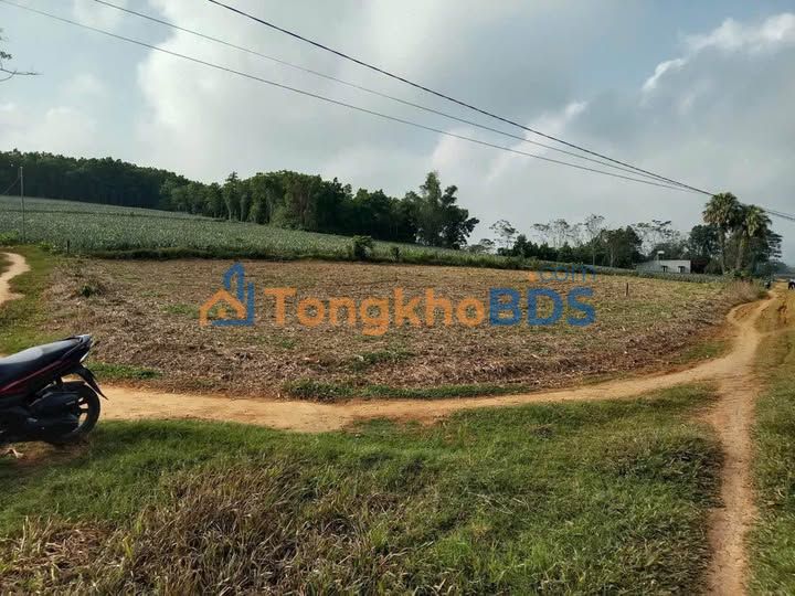 Đất Lô Góc Ngọc Lặc 1100m² - Sổ Hồng Sẵn Sàng, Giá Đầu Tư